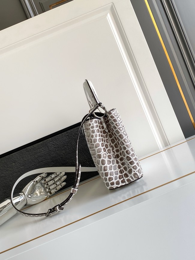 Louis Vuitton Capucines BB M88299 light gray