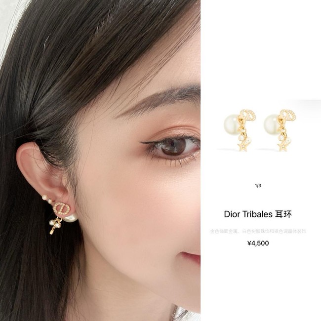 Dior Earring CE81877