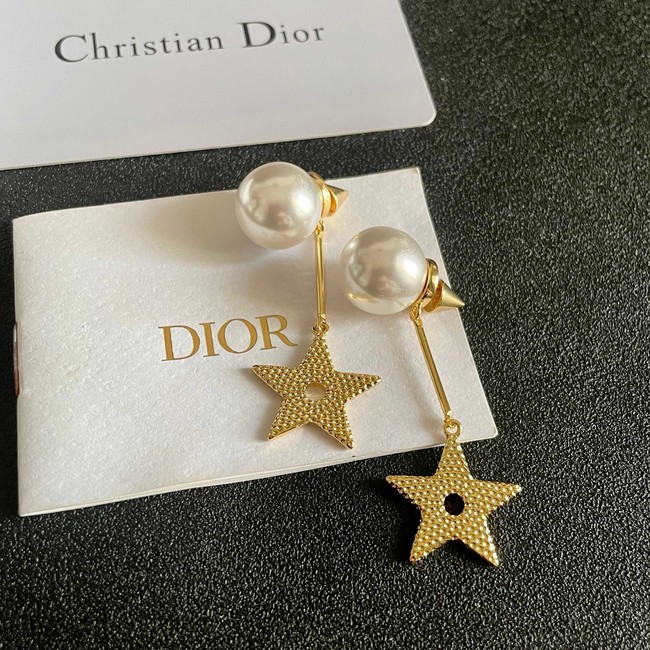 Dior Earring CE81956