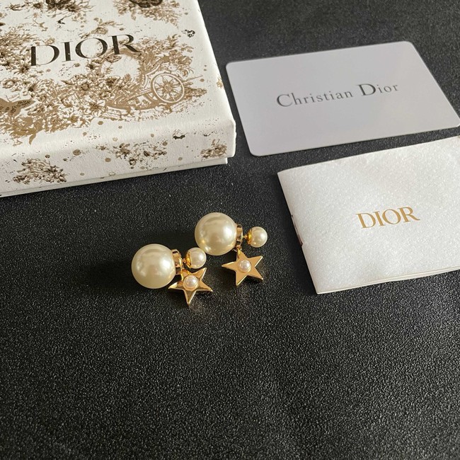 Dior Earring CE81957