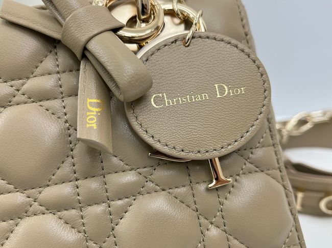 Small Lady Dior Bag with Strap Cannage Lambskin M0531OU dark Apricot