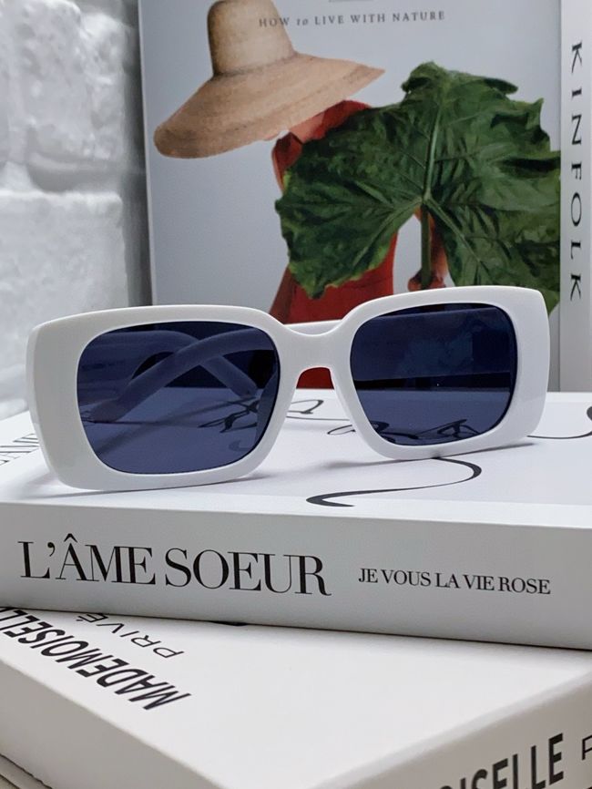Dolce & Gabbana Sunglasses 821451-2