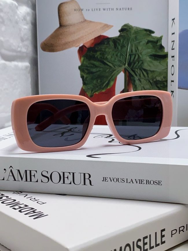 Dolce & Gabbana Sunglasses 821451-3