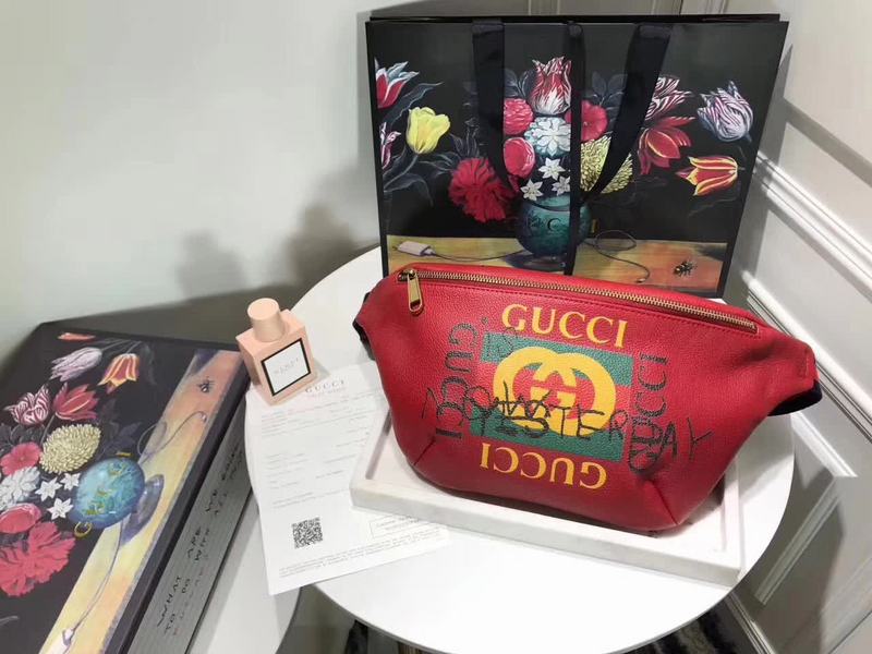 GUCCI 493869 28-18-8cm Borse